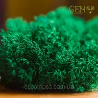 Стабилизированный мох Green Ecco Moss ягель украинский изумрудный 1 кг