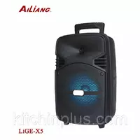 Активная акустика колонка Ailiang LiGE X5